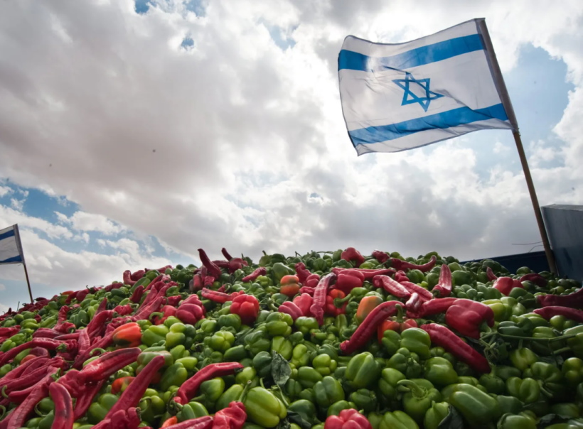 Иврит с нуля. Онлайн - курс. Преподаватель Марина Магер